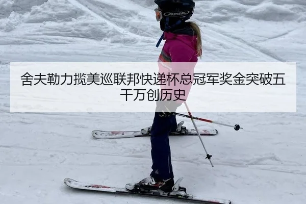 舍夫勒力揽美巡联邦快递杯总冠军奖金突破五千万创历史