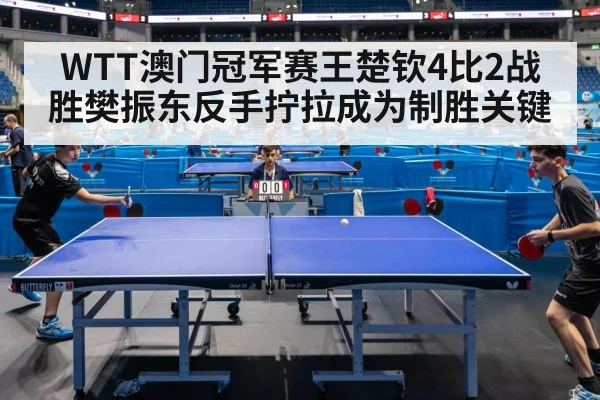 WTT澳门冠军赛王楚钦4比2战胜樊振东反手拧拉成为制胜关键